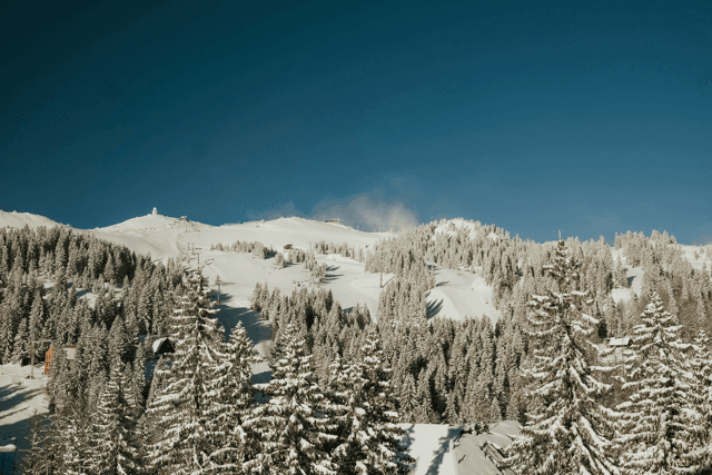 Jahorina